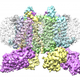 The cytochrome b6f protein structure.